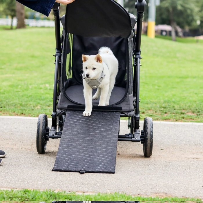 Rehome M1 Single Stroller