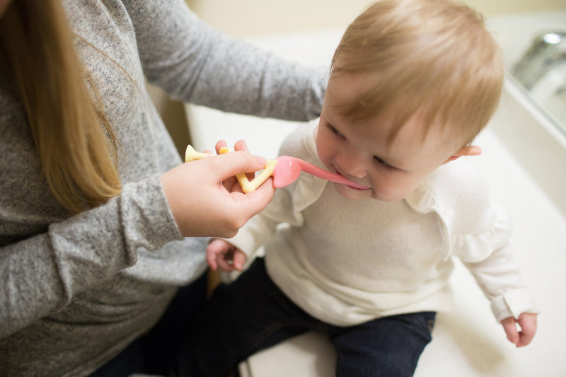 Dr Brown's Flamingo Toddler Toothbrush